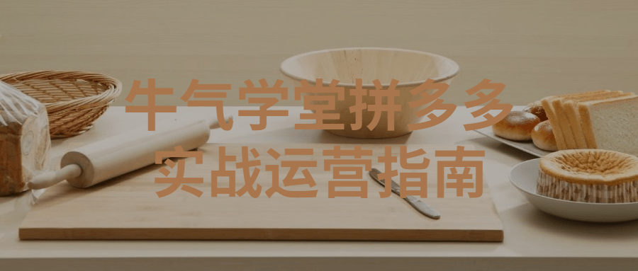 【学习资料】牛气学堂拼多多实战运营指南百度云迅雷下载