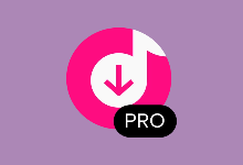 PC软件-4K Tokkit(tiktok视频下载器) v2.5.0.0840 多语便携版-多网盘下载