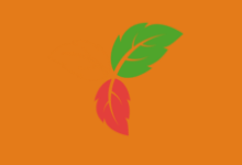 PC软件-Trilium Notes(笔记应用程序) v0.62.6.20240124 中文绿色版-多网盘下载