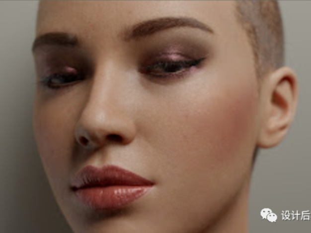 Blender高精度面部皮肤纹理和皱纹贴图！ – 百度云下载