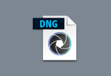 PC软件-Adobe DNG Converter(DNG转换工具) v16.1.0.1728 多语便携版-多网盘下载
