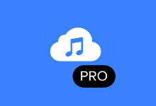 PC软件-4K YouTube to MP3(音频提取软件) v5.2.3.0080 多语便携版-多网盘下载