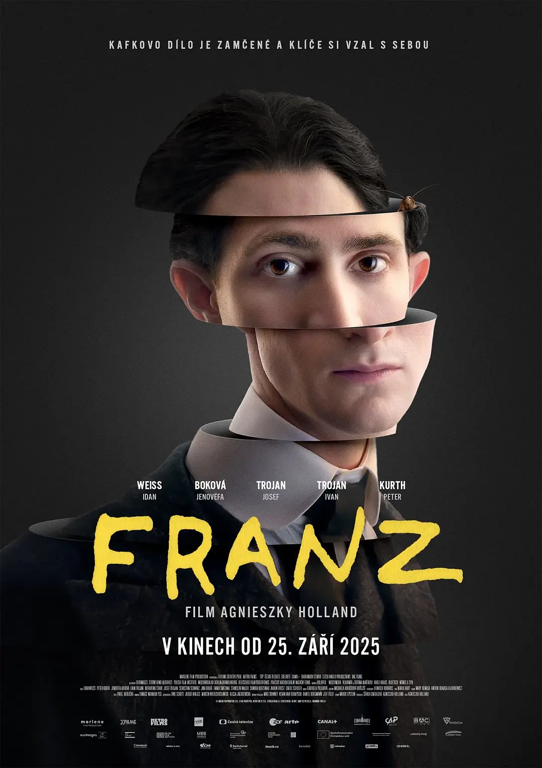 弗兰茨 WEB-DL版下载/Franz Kafka / Franz K. 2025 Franz 7.06G