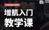 【学习资料】Z叔增肌入门教学课完结百度云迅雷下载