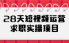 【学习资料】28天短视频运营求职实操项目阿里云天翼夸克网盘下载