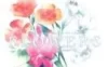 Switch游戏 -Flowers Flowers-百度网盘下载