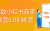 【学习资料】谢无敌小红书商家实战营5.0训练营阿里云天翼夸克网盘下载