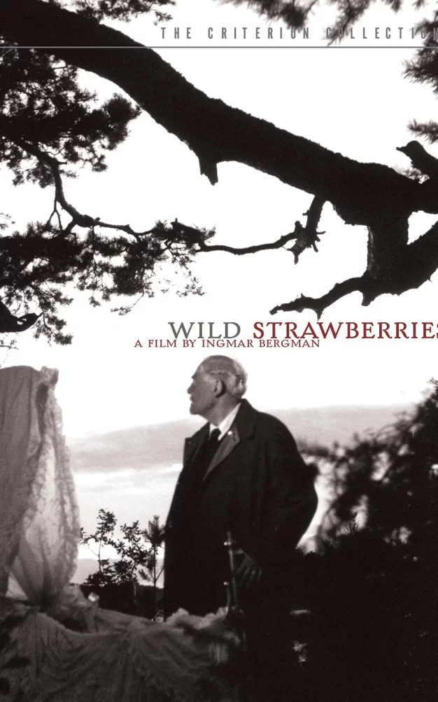 野草莓 蓝光原盘下载+高清MKV版/Wild Strawberries 1957 Smultronstället 16.1G