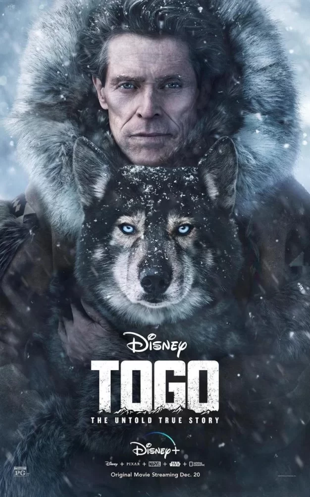 多哥 4K蓝光原盘下载+高清MKV版/Togo: The Untold True Story 2019 Togo 15.9G