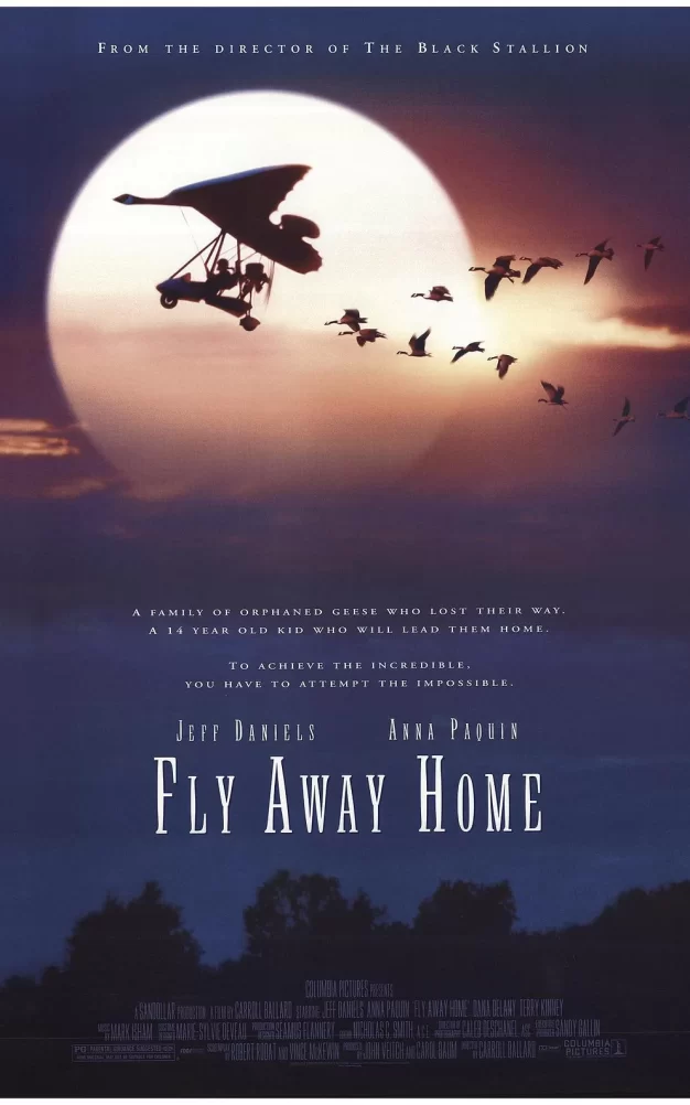 伴你高飞 蓝光原盘下载+高清MKV版/返家十万里 / 飞向故乡 / 回南 1996 Fly Away Home 22.4G