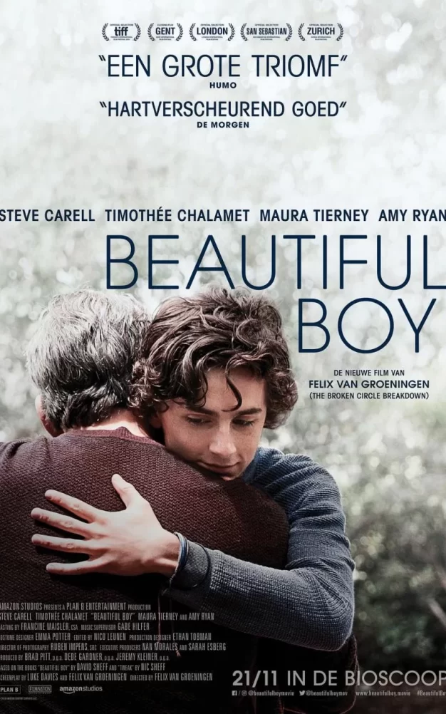 漂亮男孩 蓝光原盘下载+高清MKV版/美丽男孩(台) 2018 Beautiful Boy 36.6G