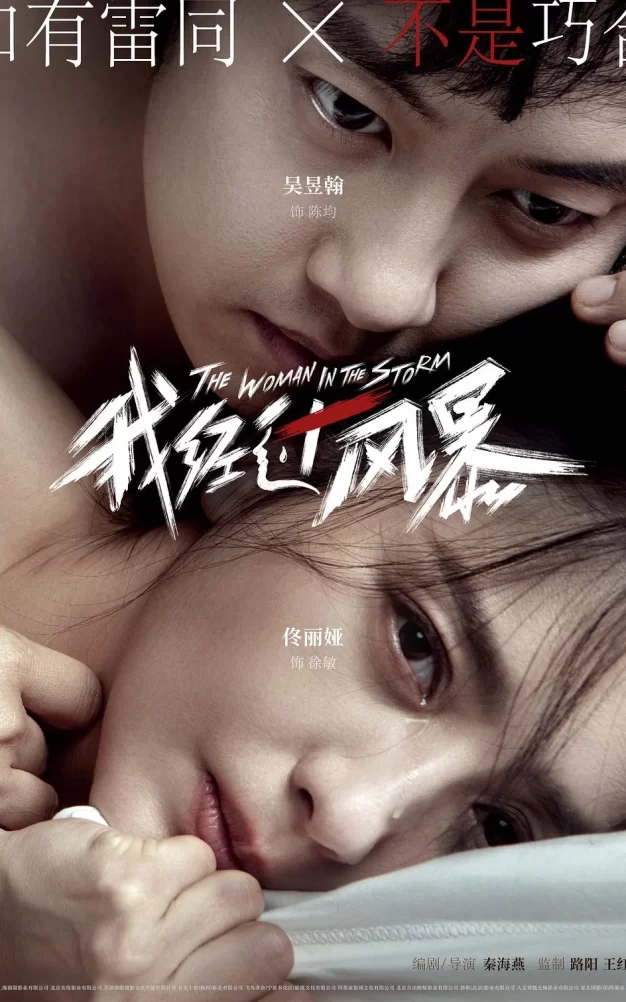 我经过风暴 WEB-DL版下载/离开你 / The Woman in the Storm 2023 我经过风暴 14.27G