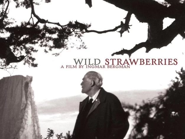 野草莓 蓝光原盘下载+高清MKV版/Wild Strawberries 1957 Smultronstället 16.1G