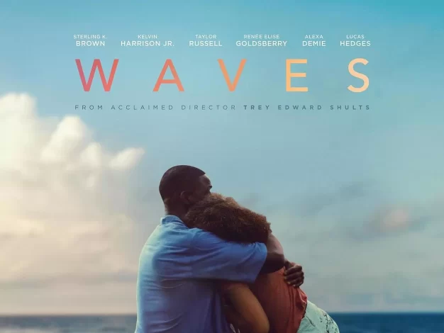 浪潮 蓝光原盘下载+高清MKV版 2019 Waves 45.4G