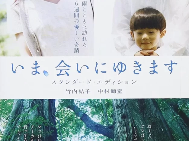 借着雨点说爱你 蓝光原盘下载+高清MKV版/现在,很想见你(台) / 大约在雨季 / 爱的轮回 / Be with You 2004 いま、会いにゆきます 32.7G