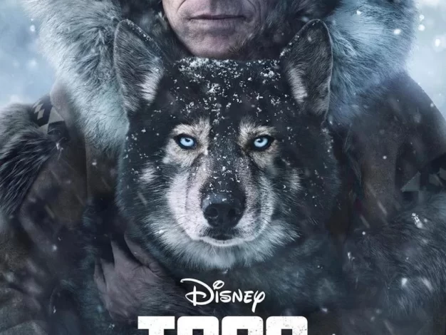 多哥 4K蓝光原盘下载+高清MKV版/Togo: The Untold True Story 2019 Togo 15.9G
