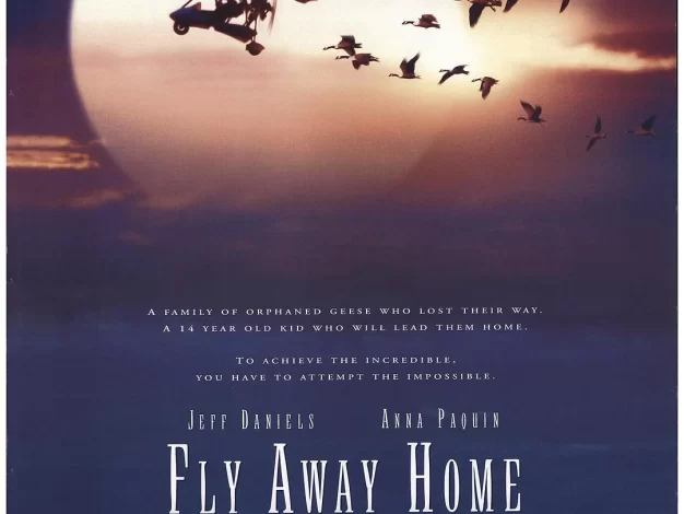 伴你高飞 蓝光原盘下载+高清MKV版/返家十万里 / 飞向故乡 / 回南 1996 Fly Away Home 22.4G