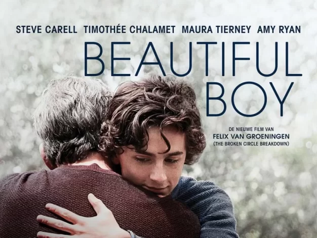 漂亮男孩 蓝光原盘下载+高清MKV版/美丽男孩(台) 2018 Beautiful Boy 36.6G