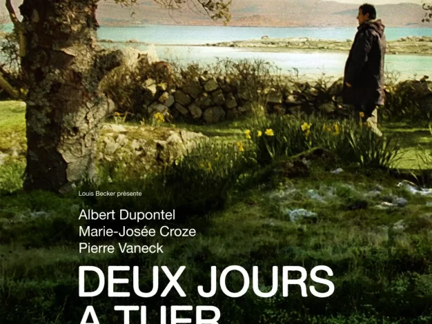 漫长的两天 蓝光原盘下载+高清MKV版/毁于一旦 / Love Me No More 2008 Deux jours à tuer 13.8G