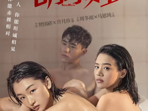 七月与安生 蓝光原盘下载+高清MKV版/SoulMate / Soul Mate 2016 七月与安生 28.9G