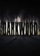 Switch游戏 -阴暗森林 DARKWOOD-百度网盘下载
