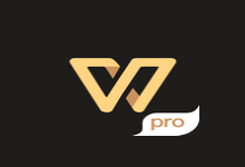 手机软件-WPS安卓版WPS Office Pro v13.37.6 专业版-蓝奏云下载