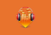 PC软件-DLNow Video Downloader v1.52.2024.01.31 多语便携版-多网盘下载