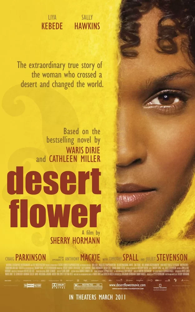 沙漠之花 蓝光原盘下载+高清MKV版/ Desert.Flower.2009.720p.BluRay.x264 27.4G