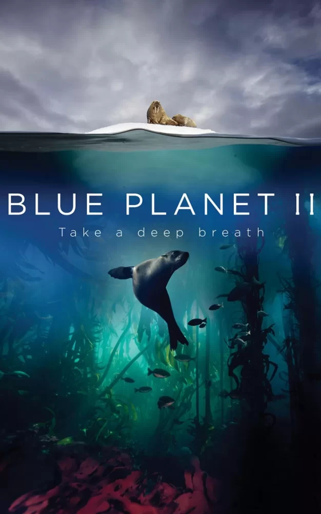 蓝色星球2 4K蓝光高清版下载/ 蓝色星球 第二季 2017 Blue Planet II 151G