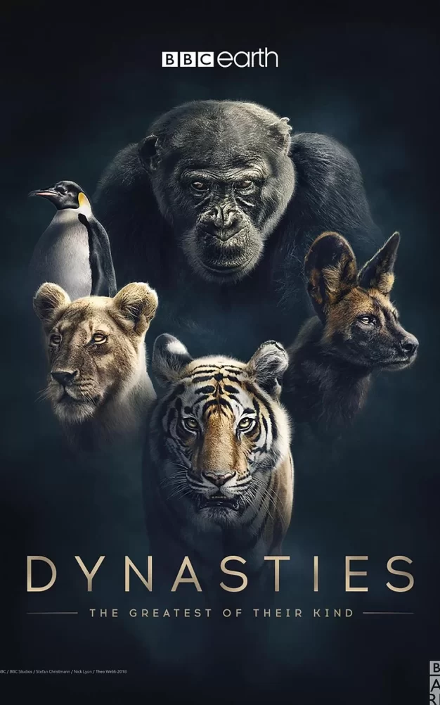 王朝 4K蓝光原盘下载+高清MKV版 /2018 The Rise and Fall of Animal Families 92G