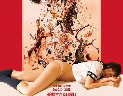 反q色 蓝光高清版下载/不是s情电影(港)/这不是色情电影(台) 2016 アンチポルノ6.0G