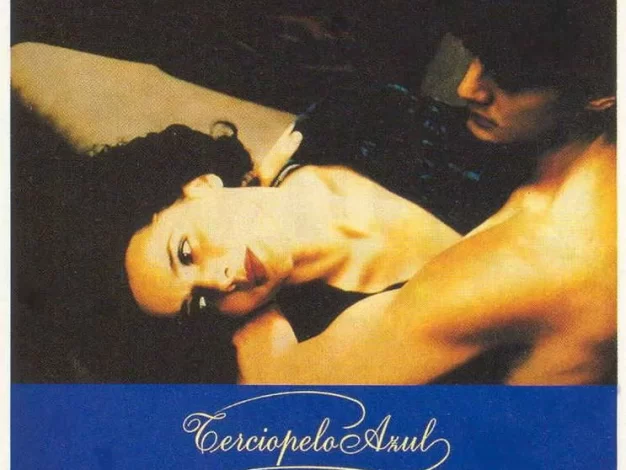蓝丝绒 蓝光原盘下载+高清MKV版/蓝色夜合花 1986 Blue Velvet 30.73G