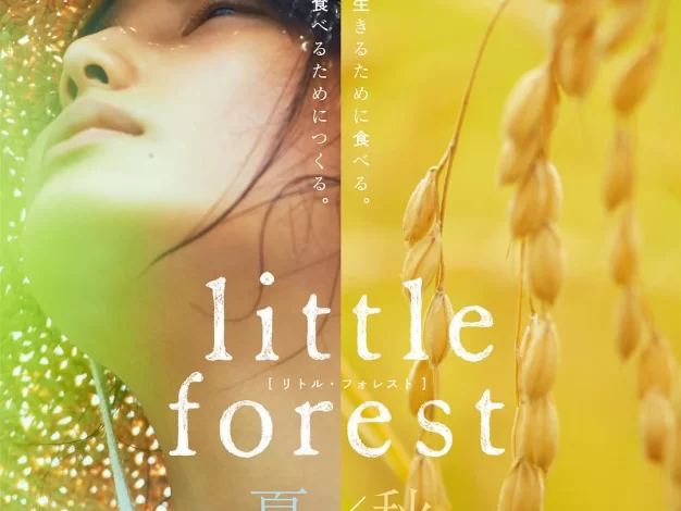 小森林 夏秋篇 蓝光原盘下载+高清MKV版 /小森食光/夏秋篇(台) / Little Forest Summer & Autumn 2014 リトル・フォレスト 夏・秋 36.6G