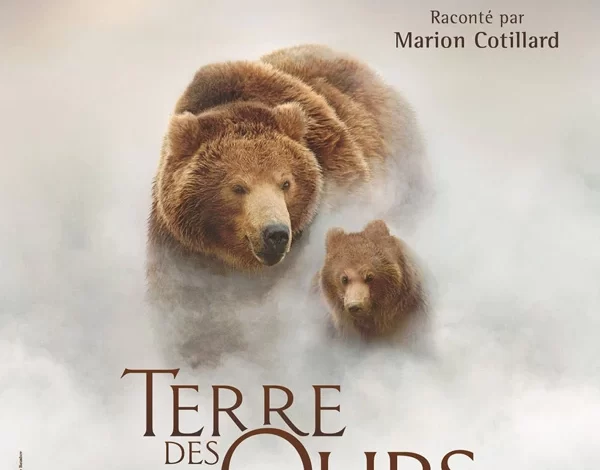 棕熊之国 3D蓝光原盘+MKV版/ 纪录片 2014 Terre des Ours/Land.of.the.Bears 23.1G
