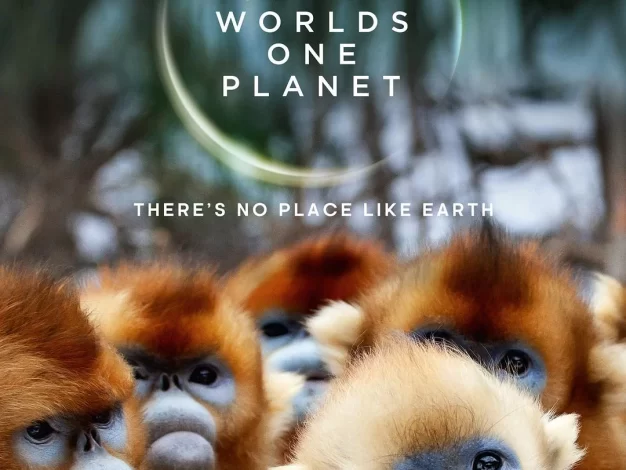 七个世界，一个星球 4K蓝光原盘下载+高清MKV版/One Planet: Seven Worlds/一颗星球：七个世界/七个世界，一颗星球 2019 Seven Worlds, One Planet 191GB