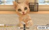 Switch游戏–NS 小小伙伴 狗狗猫猫 Little Friends: Dogs & Cats 中文,百度云下载