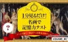 Switch游戏–NS 1分見るだけ! 名画で記憶力テストーアートで脳トレ!脳活アハ活教養美術ゲームー [NSP],百度云下载
