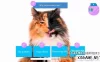 Switch游戏–NS 收养身边的动物 Adopt an Animal Near Me[NSP],百度云下载