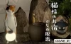 Switch游戏–NS 猫様のお宿からの脱出 [NSP],百度云下载