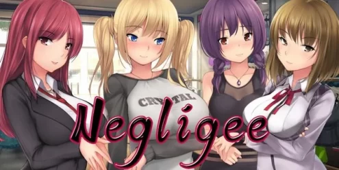 Switch游戏–NS 晨衣小店（Negligee）[NSP],百度云下载