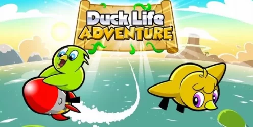 Switch游戏–NS 鸭生冒险（Duck Life: Adventure）[NSP],百度云下载