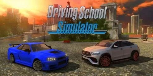 Switch游戏–NS 驾校模拟（Driving School Sim）[NSP],百度云下载