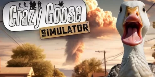 Switch游戏–NS 疯狂鹅模拟器（Crazy Goose Simulator）[NSP],百度云下载