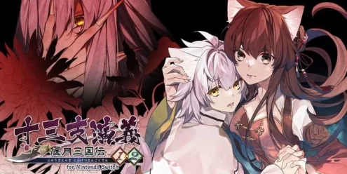 Switch游戏–NS 十三支演义 偃月三国传 1・2 汉化中文[XCZ],百度云下载