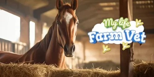 Switch游戏–NS 我的生活：农场兽医 My Life: Farm Vet [NSP],百度云下载