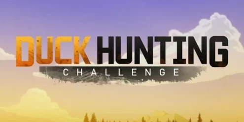 Switch游戏–NS 猎鸭挑战（Duck Hunting Challenge）[NSP],百度云下载