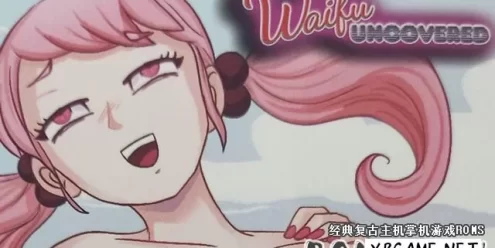 Switch游戏–NS 绅士射击游戏 Waifu Uncovered 中文版含解锁图卡片下载,百度云下载