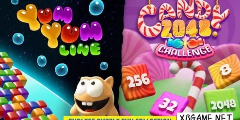 Switch游戏–NS 无尽欢乐谜题合集（Endless Puzzle Fun Collection）[NSP],百度云下载
