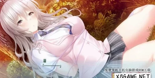 Switch游戏–NS 完全的爱 nsp 原版v13.2.1,百度云下载
