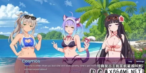 Switch游戏–NS 樱花魅魔4 v1.0.0 美版中文 NSP,百度云下载